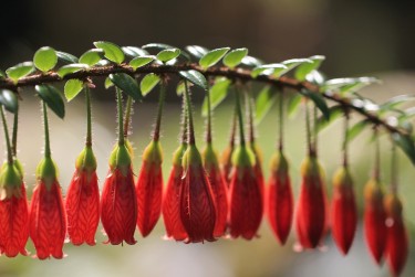 中山南头6私人快速借钱网，轻松解决资金难题