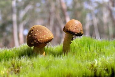 中山南头6私人老板放款：轻松融资的秘密通道